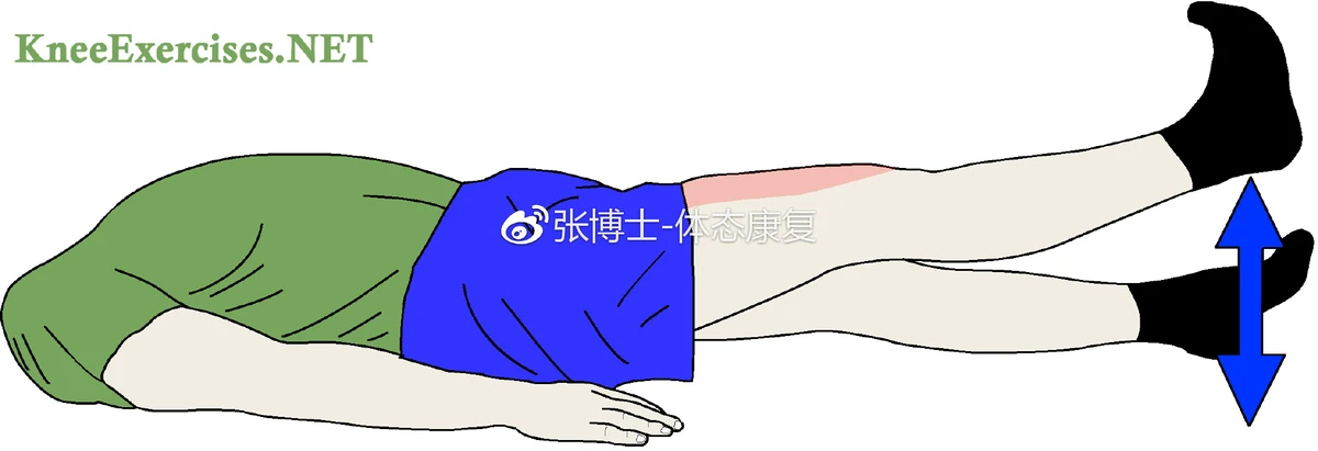 为什么篮球训练中需要多样化的策略_0